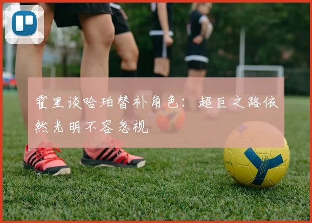 霍里谈哈珀替补角色：超巨之路依然光明不容忽视