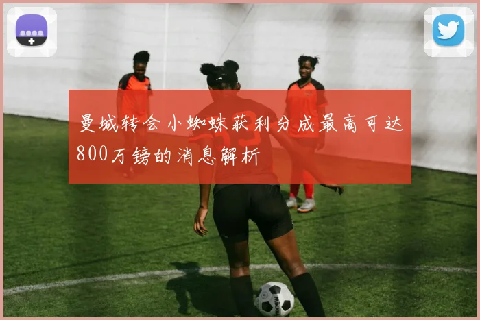 曼城转会小蜘蛛获利分成最高可达800万镑的消息解析